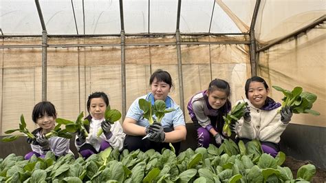 小朋友種植物|我家也有小菜園─陪孩子種蔬菜觀察生長